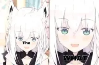 😳