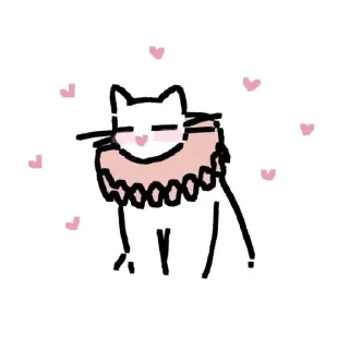 ✨