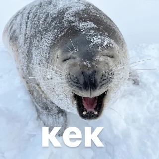 😆