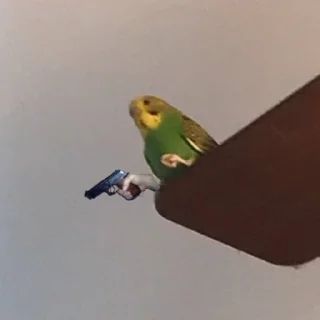 🔫