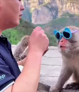 🤩