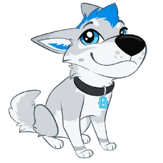 🐶