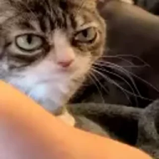 ❔