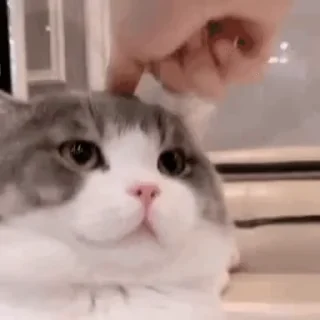 👇