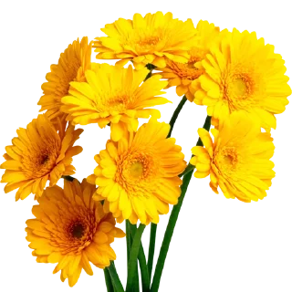 💐