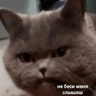 😡