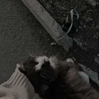 🥺