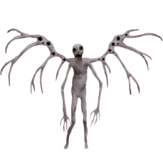 👻