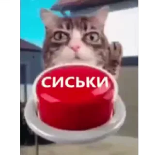 🤩