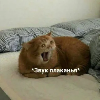 😫