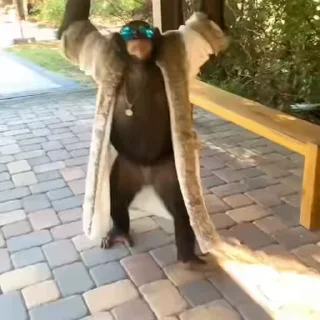 🤩
