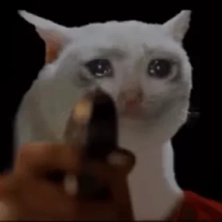 🥲