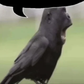 😱
