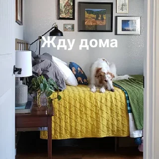 🏠
