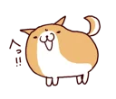 🐶
