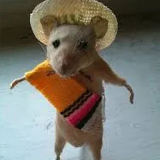 🇲🇽