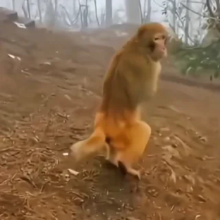 😩
