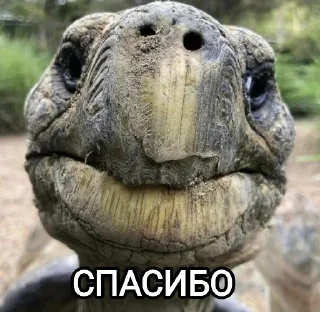 😌