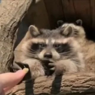 😋