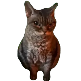 🫥