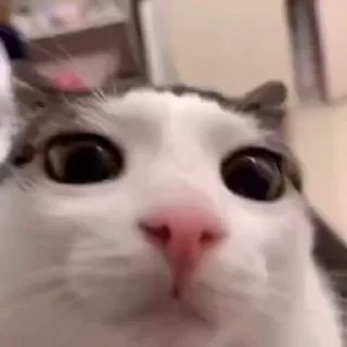 👀
