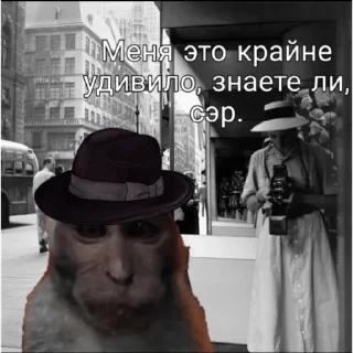 🐵