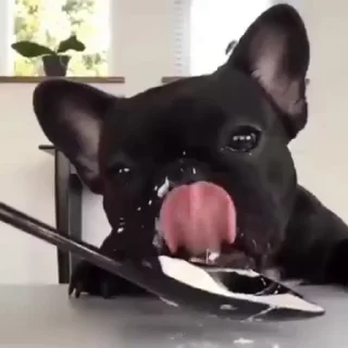 😛