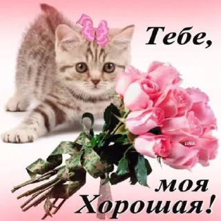 💓
