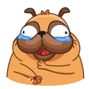 😂