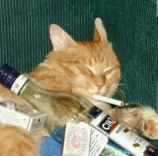 🍾