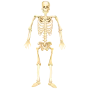 🎃