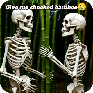 🧸