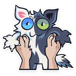 ⭐