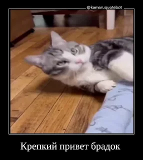 👋