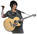 🎸