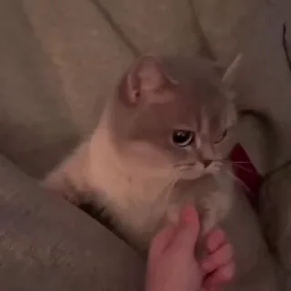 😒