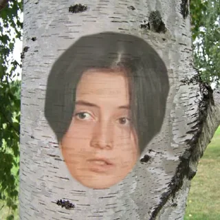 🌳