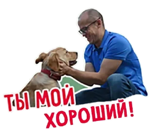kontrmera