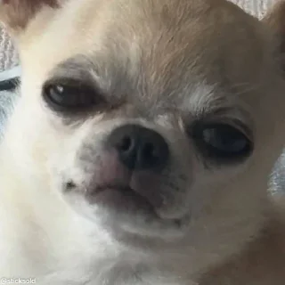 😒