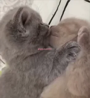 🥺