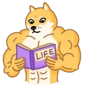 📔