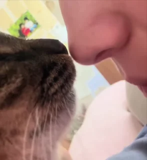 💋