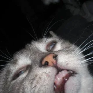😛