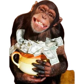 💰