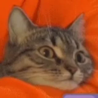 😳