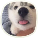 😛