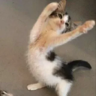 🤲