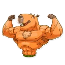 💪