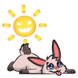 🌞