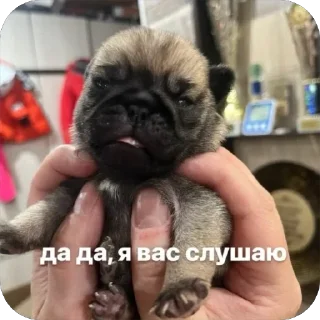 🥱